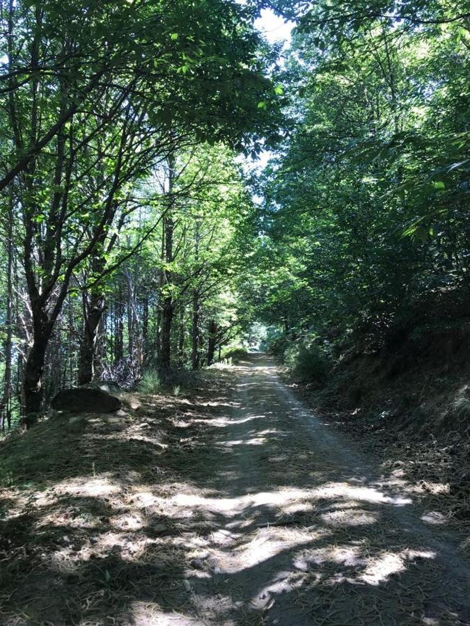 La Escondida Villa Tornavacas Bagian luar foto